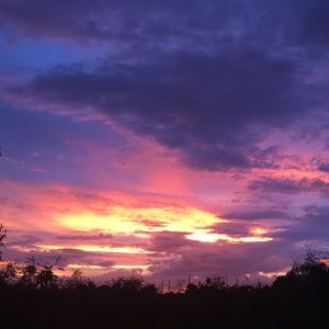 Meet your Posher, Joyce